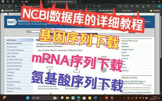 NCBI数据库的详细讲解