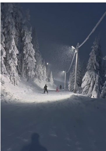 Ready for a bit of winter fun? Night skiing and snowboarding in Prislo... | Ski | TikTok
