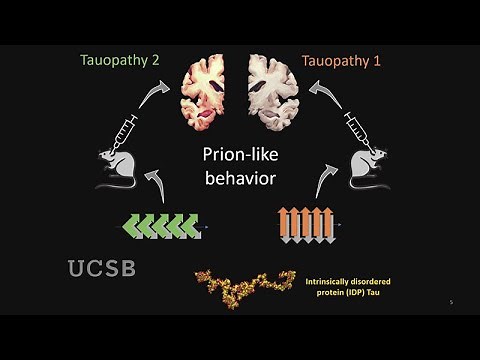 How Changes in Proteins Can Lead to Diseases