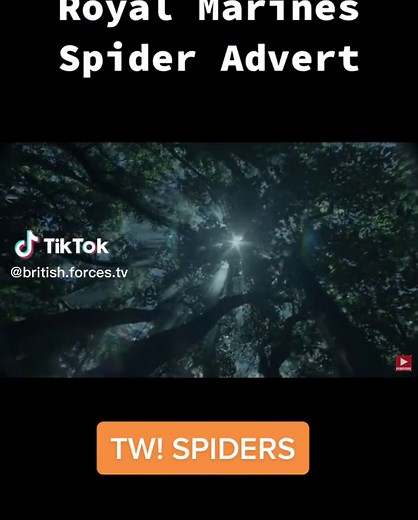 Royal marine advert #army #ukarmedforces #drill #uk #roadto4k #royalmarines #british