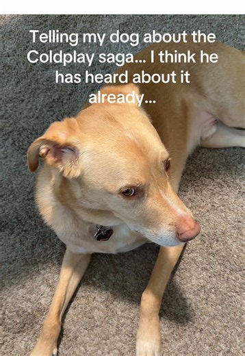 The REAL Dating Robin on TikTok