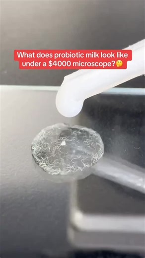 Things Under Microscope on Instagram: "Unlock a hidden world 🔬—discover the fascinating beauty of everyday things under the microscope! #MicroscopeMagic #HiddenWorlds #MicroBeauty #UnderTheScope #ScienceIsCool #CloseUpView #TinyUniverse #MicroWonder #ScienceDaily #ZoomedIn #MicroscopyLove #EverydayScience #AmazingDetails #MicroLife #InvisibleWorld"