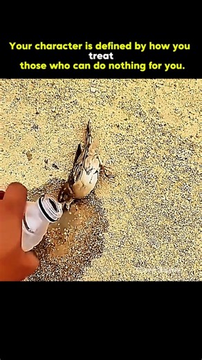 A Drop of Life🙌❤️ #Humanity #Kindness #SmallActs #BirdLovers #motivation
