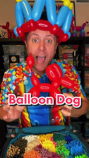How to make a balloon dog #BalloonJosh #TwistWithJosh #BalloonTutorial #BalloonTutorials #BalloonDog #BalloonsForBeginners #TutorialsForBeginners