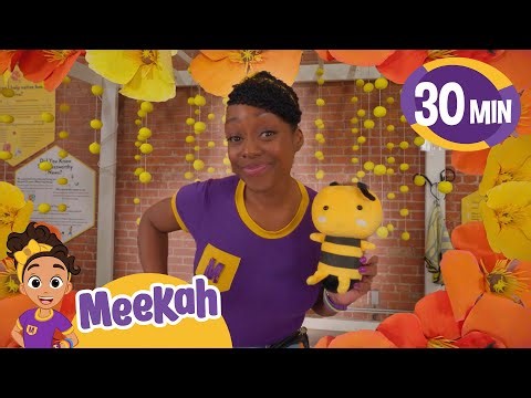 Meekah Surfs Up! 🏄‍♀️ | 30 Minute Beach & Learning Adventure | Educational Videos for Kids