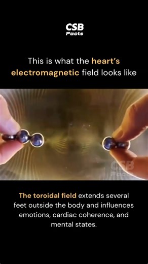Your Heart Creates an Energy Field 🤯🫀 | Science Explained