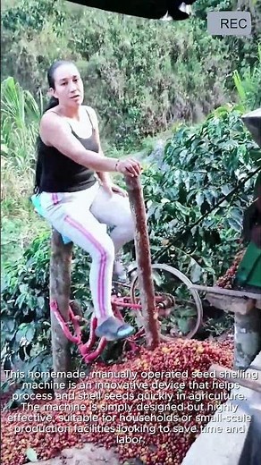 Handmade Seed Shelling Machine in Action