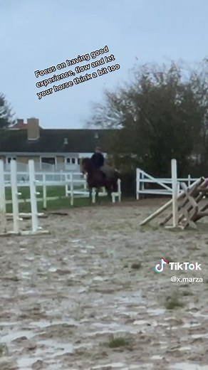 Ofc you can ride it both ways ❤️🐴 #showjumping #showjumper #showjumpersoftiktok #showjumpingtraining #equestrian #equine #equestrianlife #equestriangirl #horse #horses