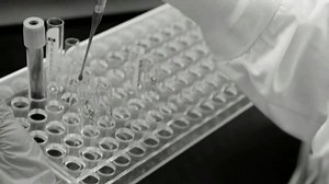 5.2K views · 74 reactions | A lot happens between giving a sample and...