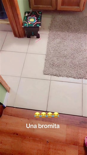 doris (@dorelisdelcarmenf)’s videos with sonido original - doris