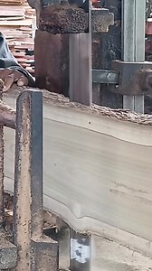 Golden Teak Wood Processing | Toni Siswanto | Facebook