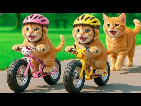 Mama Cat Trims Fur on the Farm and Makes Tiger Hat For Kittens At Home🐾🎩🐯