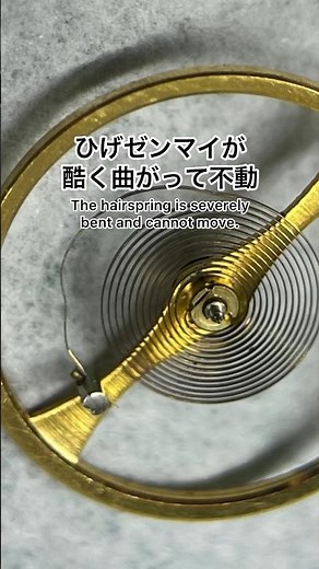 Repair Mr.T's Citizen Homer 17j