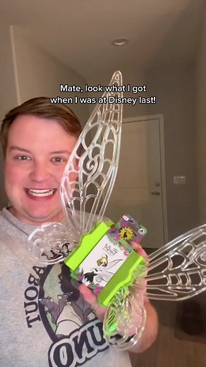 New Tinkerbell Wings! #disney #peterpan #tinkerbell #mrthomasenglish