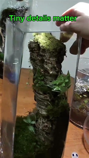 POV Forest Terrarium Build 🌿