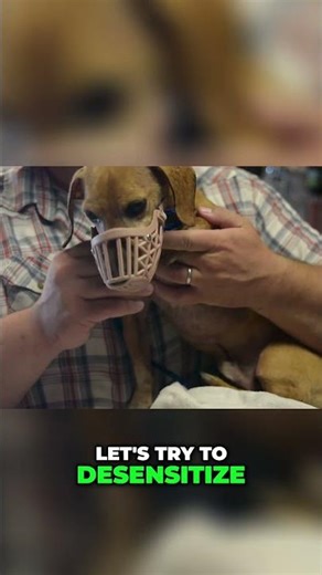 Dog Hates Nail Trims? Start With THIS (Patience Wins) #dogpsychology101