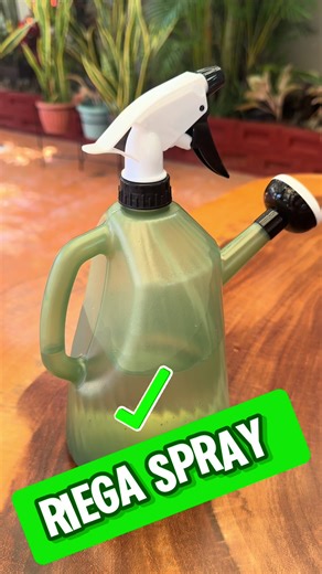 ¿Te gusta tener tus plantas bonitas y bien cuidadas? 🌿 Con el Riega Spray 3 en 1 puedes regar fácil y rápido. ✔️ Regadera ✔️ Chorro directo ✔️ Atomizador con presión ajustable ✔️ Capacidad de 1.5 litros Un solo producto para cuidar tus plantas como se merecen. Pídelo antes de que se agote. @Betterware México #Betterware #RiegaSpray #PlantasBonitas #JardineríaEnCasa #HogarBetterware