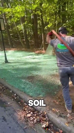 Why Spraying a Mountain Green Actually Works