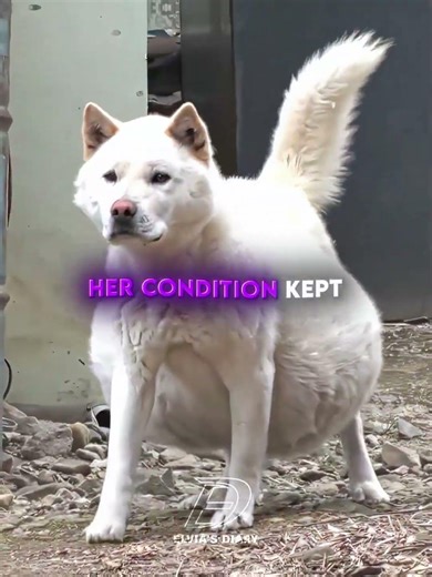 She Looked Pregnant But The Truth Was Heartbreaking 💔