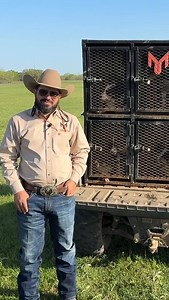 6.9K views · 415 reactions | Fresh content on our Online Course featuring advanced dogs! Check it out on our website: www.mourastockdogs.com/onlinecourse | Moura Stock Dogs | Facebook