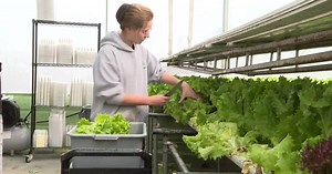 Made in Idaho: GreenWave Hydroponics