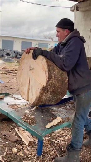 Wood Cutter Machine #woodwork #shortsfeed #woodsplitter #firewood #cutting #shorts
