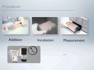 Cell Proliferation Cytotoxicity Assay Kit_CCK-8