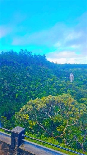 Beautiful! #ProphetessTrizah #LoveNeverFaileth #mauritius🇲🇺 | Prophetess Trizah