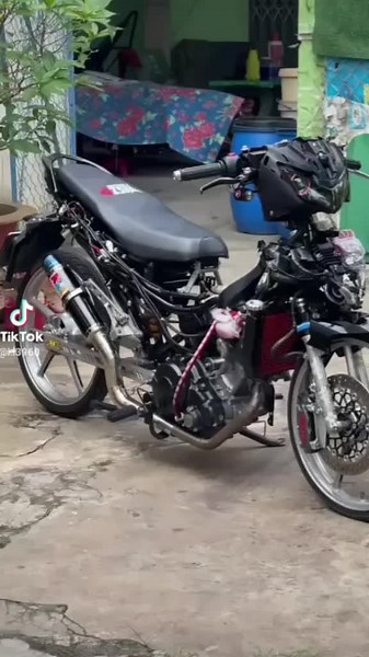 cao minh ngoc trên TikTok
