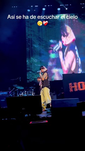 Gera MX and Aleman Concert Experience in Merida