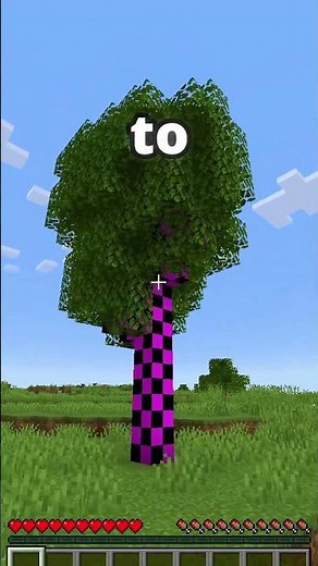 Minecraft error block!