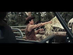 BENDA ATV & UTV - REDSTONE & SUPERNOVAE #benda #offroad #atv