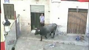 yvideo.php?i=Q0pFVHVkcWuRpX3lkMUU&touro-bravo