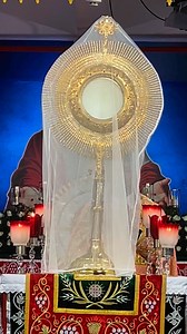 15K views · 820 reactions | Mount Carmel Retreat Centre Trivandrum on Reels | Facebook