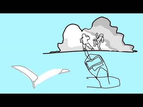 Bird 2d animation