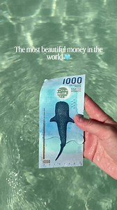 Most Beautiful Money: Maldivian Rufiyaa with Whale Shark