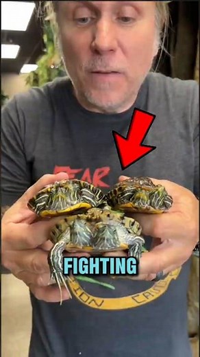 5 REAL Two-Headed Animals That Actually Exist… Wait Until #1! 😱
