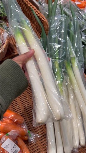The Surprising Economics of Green Onions in Japan