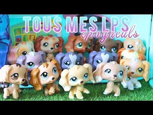 Tous mes LPS EPAGNEUL/COCKER ! #16