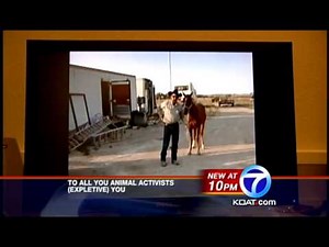 Horse Slaughter House