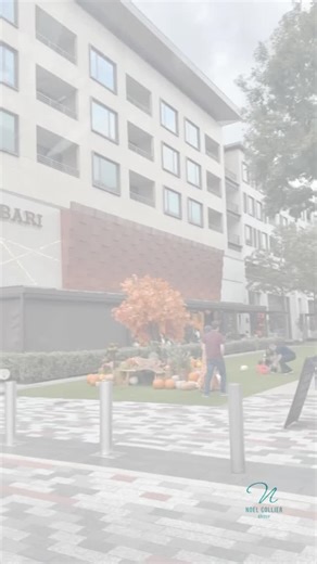 Houston really knows how to show out in the fall. 🍂✨ If you’re looking for ways to get out, make memories, and soak up the season, I’ve got you. Here are some of my favorite happenings around the city this November: 🎄 Zoo Lights at the Houston Zoo 🎉 Día de los Muertos Festival Downtown 🛍 Nutcracker Market at NRG 🌾 Trail rides & fall festivities at Dewberry Farm 🥁 Veterans Day ceremony at Hermann Square 🏰 Texas Renaissance Festival (a classic) 🌿 Bayou Bend Harvest Family Day 🎄 Holiday in