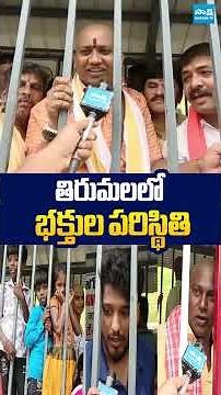 తిరుమలలో భక్తుల పరిస్థితి #ytshorts #trendingshorts #ttd #tirumalatirupati #chandrababu #sakshitv