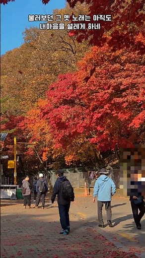 소요산에 물든단풍 🍁 우쿨렐레와함께~가을이오면 cover by 모행사