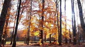 9.1K views · 54 reactions | Introducing our eco-luxury line of Coconut Milk Bath Bar. Start and end your day right with our bath bar cleansing and exfoliating while leaving the skin soft and supple. | Ettenio | Facebook