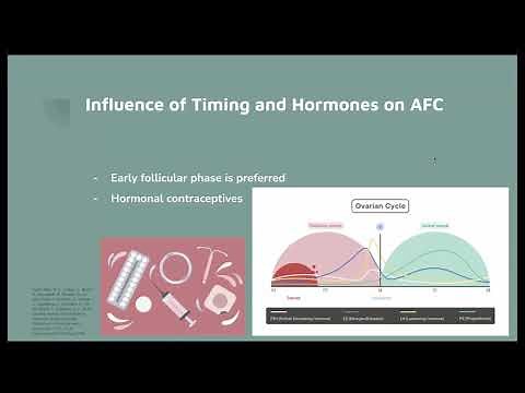Counting Ovarian Antral Follicles with Ultrasound