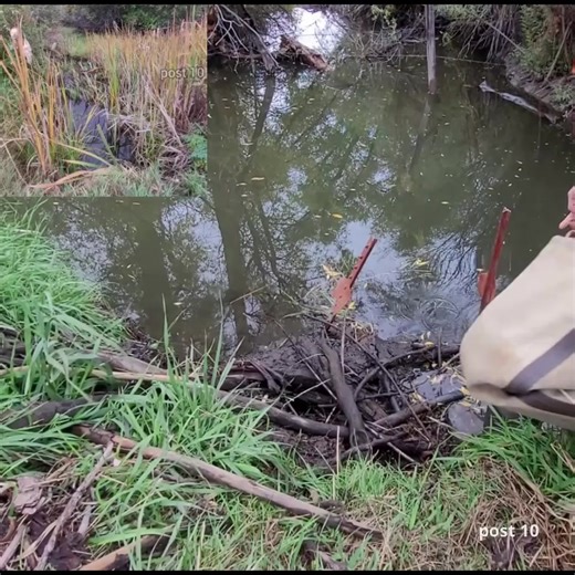 Part 1 Unclogging Culvert Pipe After Beaver Plugs It | Post 10
