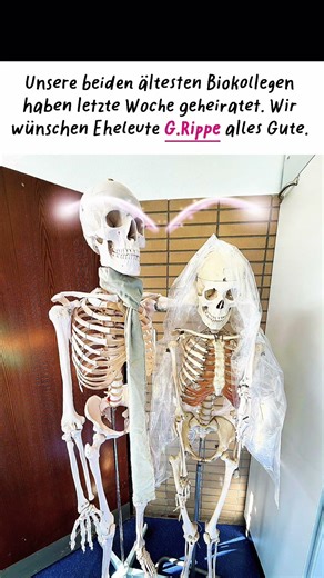 Bis dass der Tod … ach halt zu spät😂 #lehrerleben #memes #lehrer #schule #schulleben