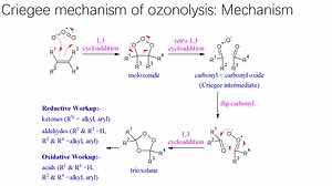 有机人名反应（75）：Criegee mechanism of ozonolysis