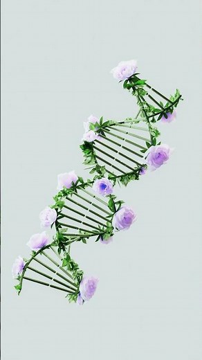 Launching GCSE Science explained