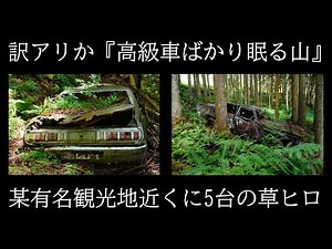 草ヒロ探検 関西某所の山に眠る5台の草ヒロ 黒塗りの高級車ばかりが投棄されている